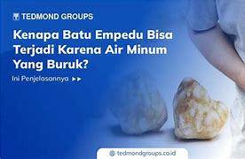 Bolehkah Penderita Batu Empedu Minum Susu Beruang